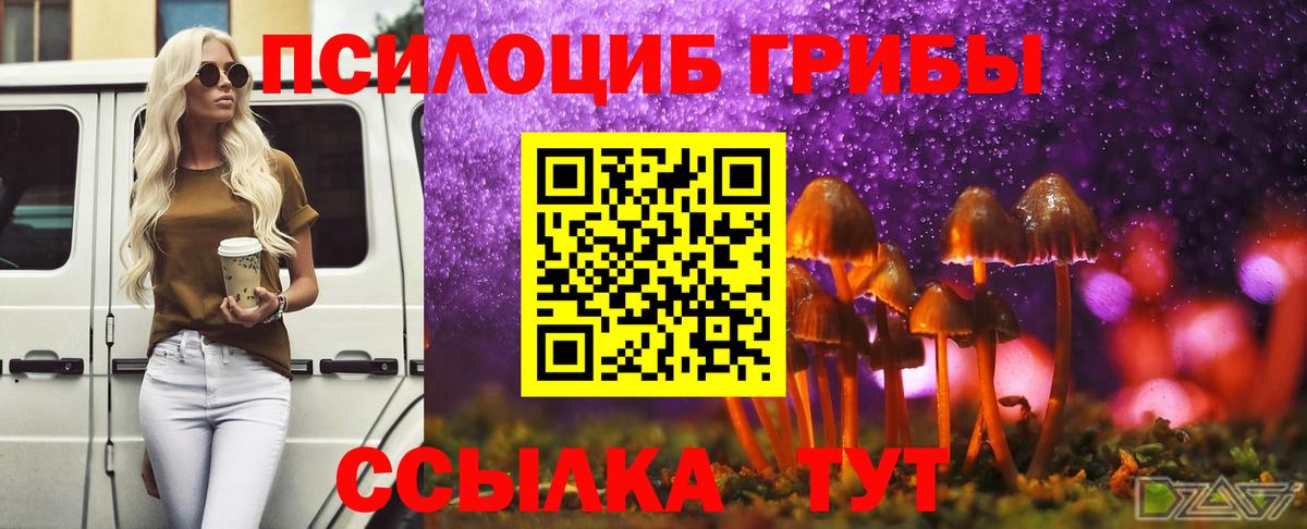Кимовск  Псилоцибиновые грибы Psilocybe  Вход с VPN 